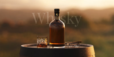 Whisky – La storia di uno dei distillati più bevuti!